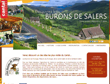 Tablet Screenshot of buronsdesalers.fr